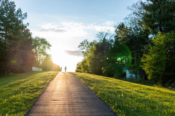 Cost of Asphalt Pathway Installation in Seattle