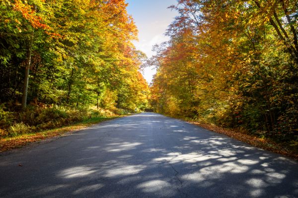 Cost of Blacktop Replacement in Seattle